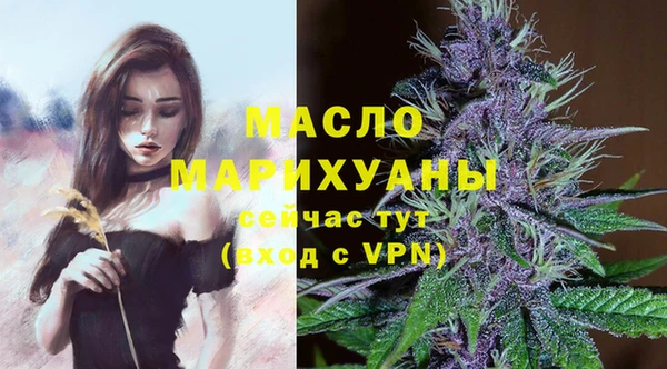 spice Богородицк