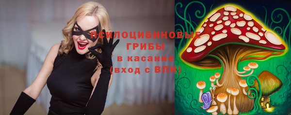 гашик Богородск