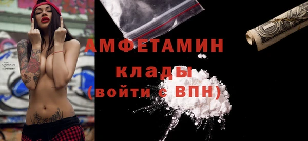 spice Богородицк