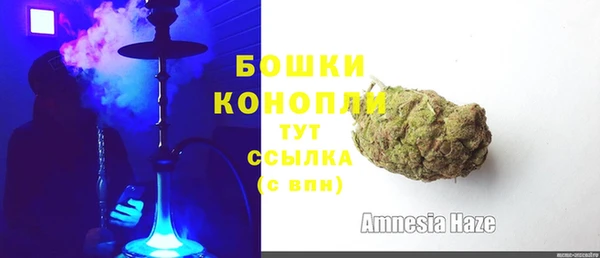 спайс Ладушкин