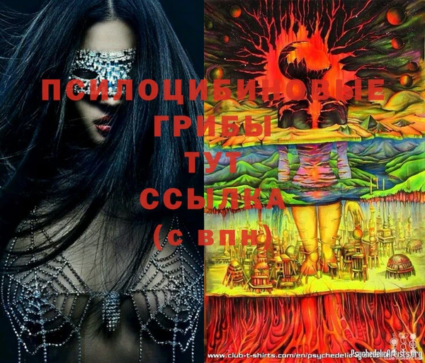 крисы Белоозёрский