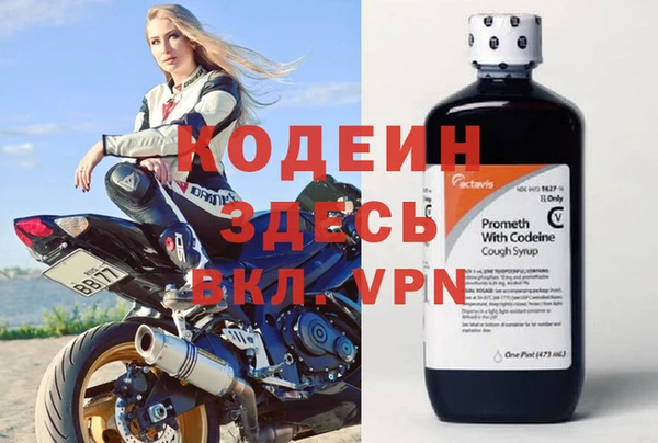 хмурый Лиски
