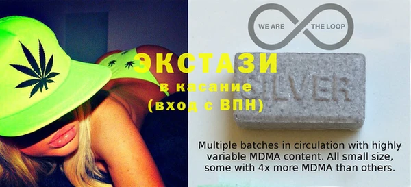 spice Богородицк