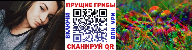 Галлюциногенные грибы MAGIC MUSHROOMS  закладки  Магас 